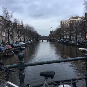 Meet your Posher, Shannon